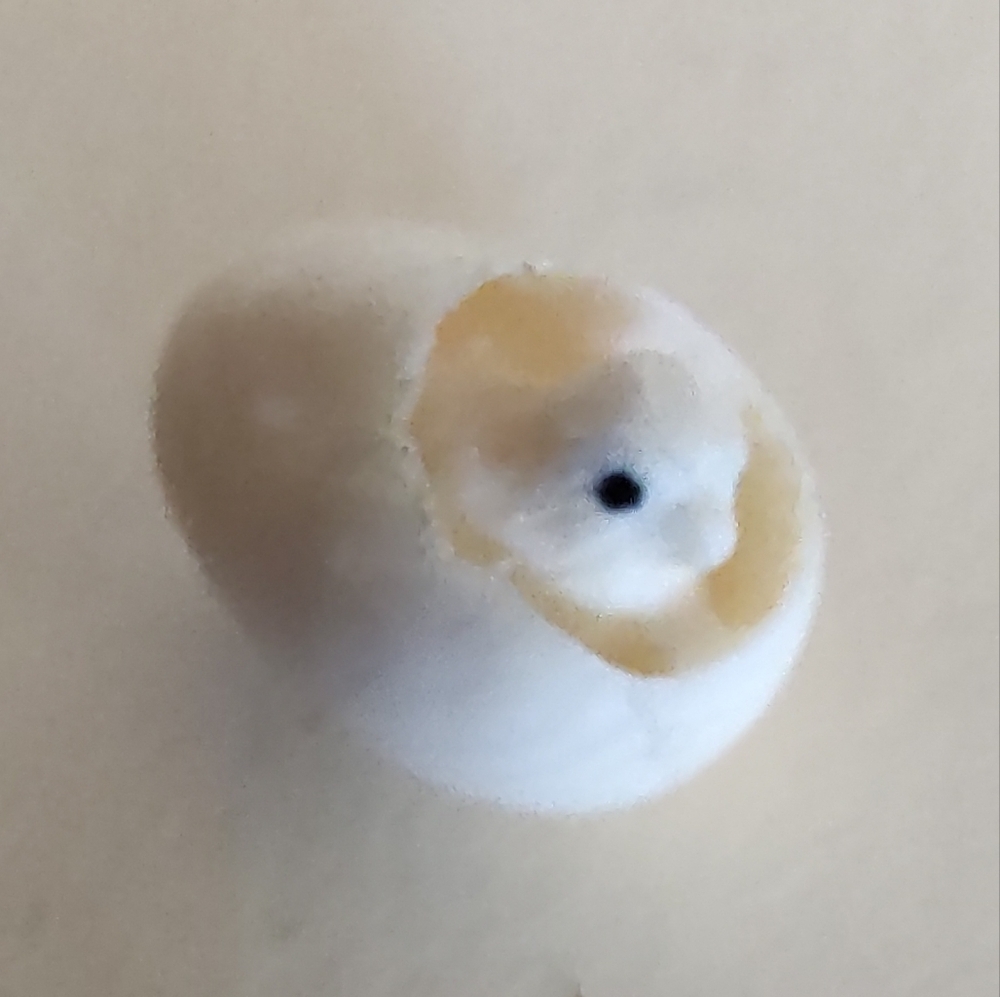 Vintage Asian "Chick In Egg" Miniature